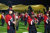 Field Show 11/08/24 (82/313)