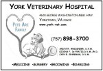 York Vet Ad 2015